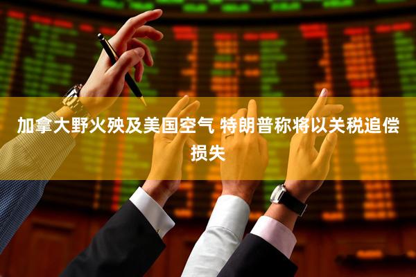 加拿大野火殃及美国空气 特朗普称将以关税追偿损失