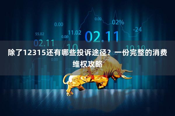 除了12315还有哪些投诉途径？一份完整的消费维权攻略